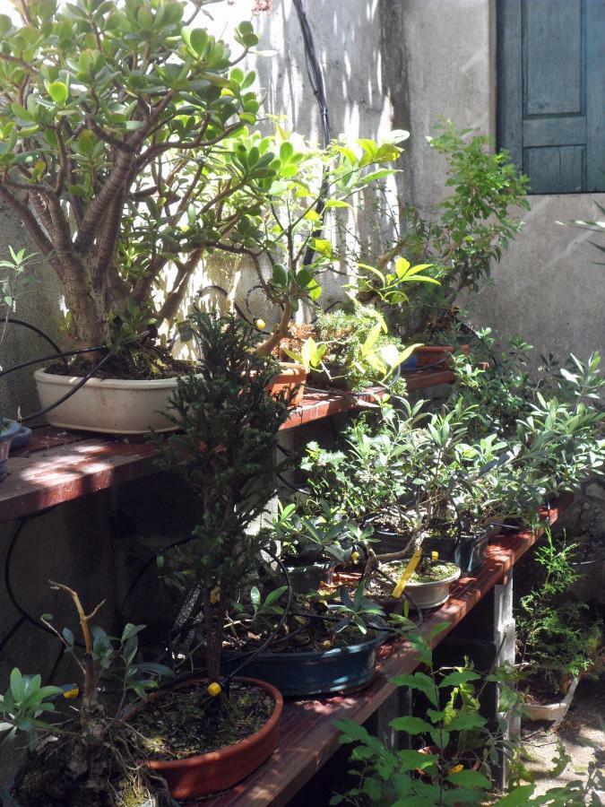 מלון Casa קוימברה מראה חיצוני תמונה