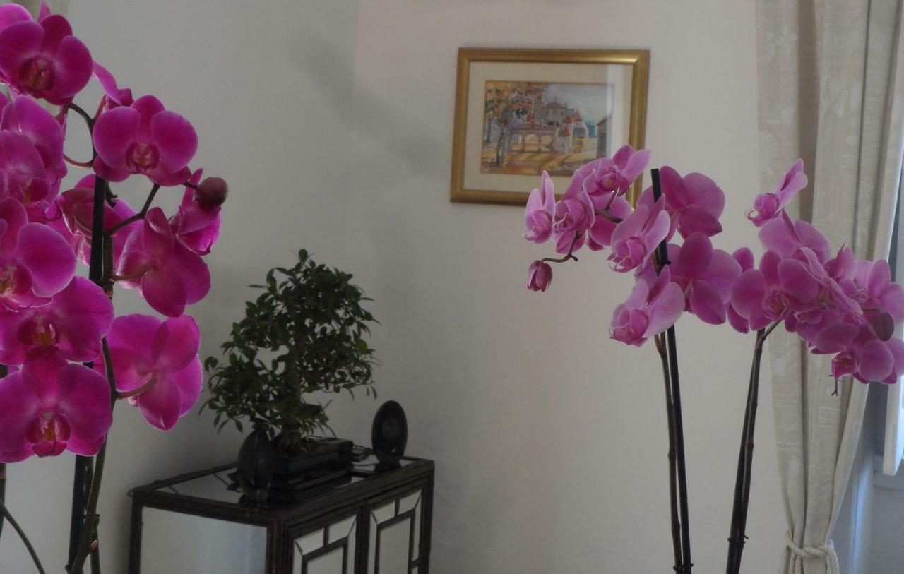 מלון Casa קוימברה מראה חיצוני תמונה