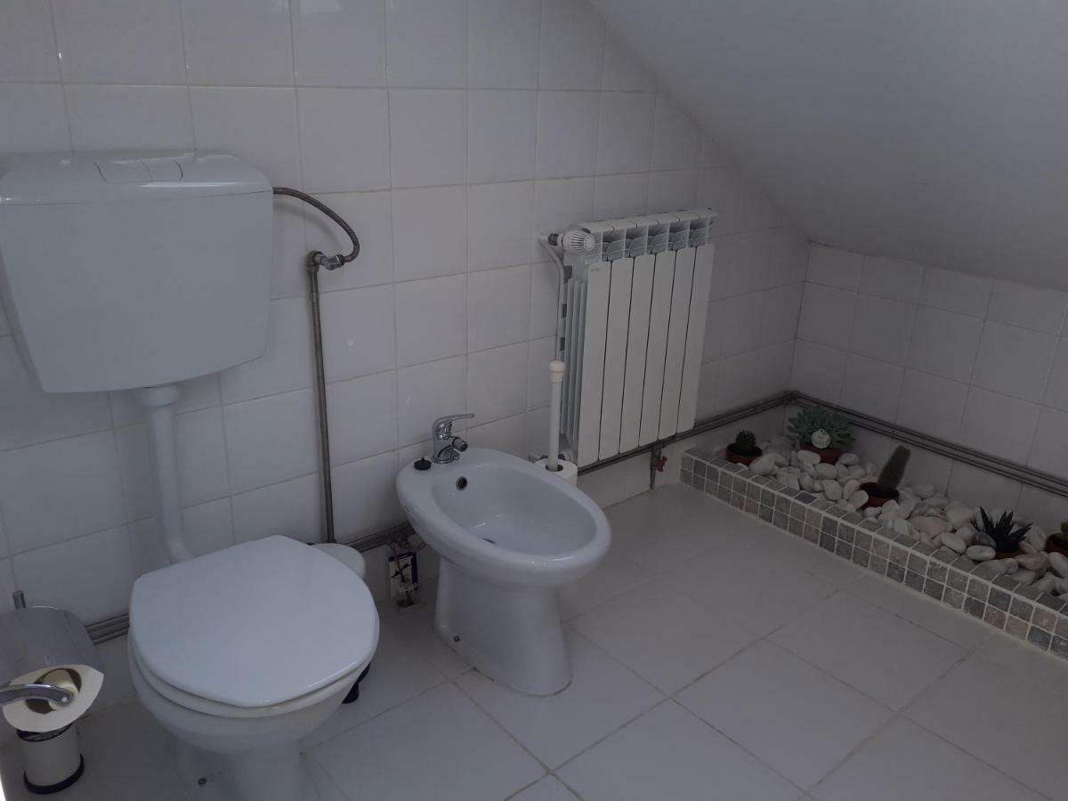 מלון Casa קוימברה מראה חיצוני תמונה